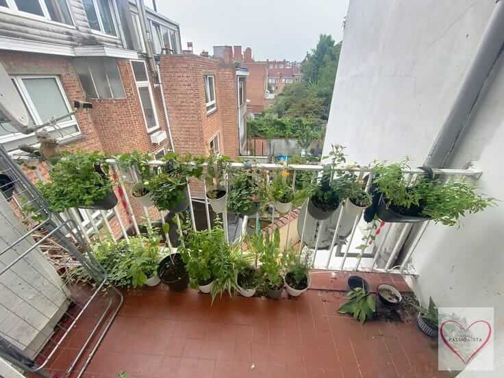 Sint-Jans-Molenbeek, 4 Bedrooms Bedrooms, ,2 BathroomsBathrooms,Apartment,For Sale,1097